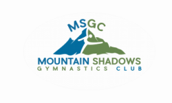 MountainShadowsGymnasticsClub