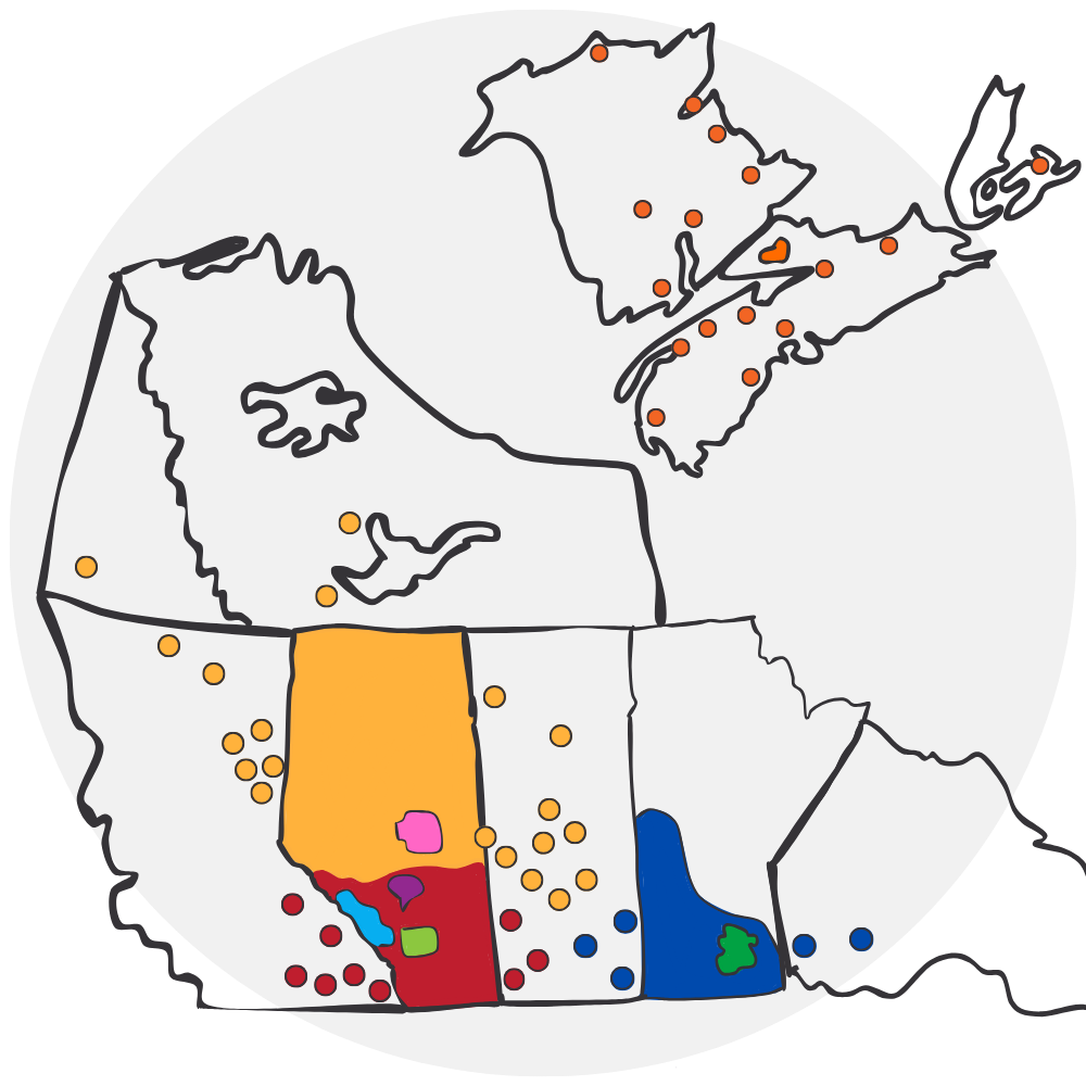 TF-AllLocations-June2025