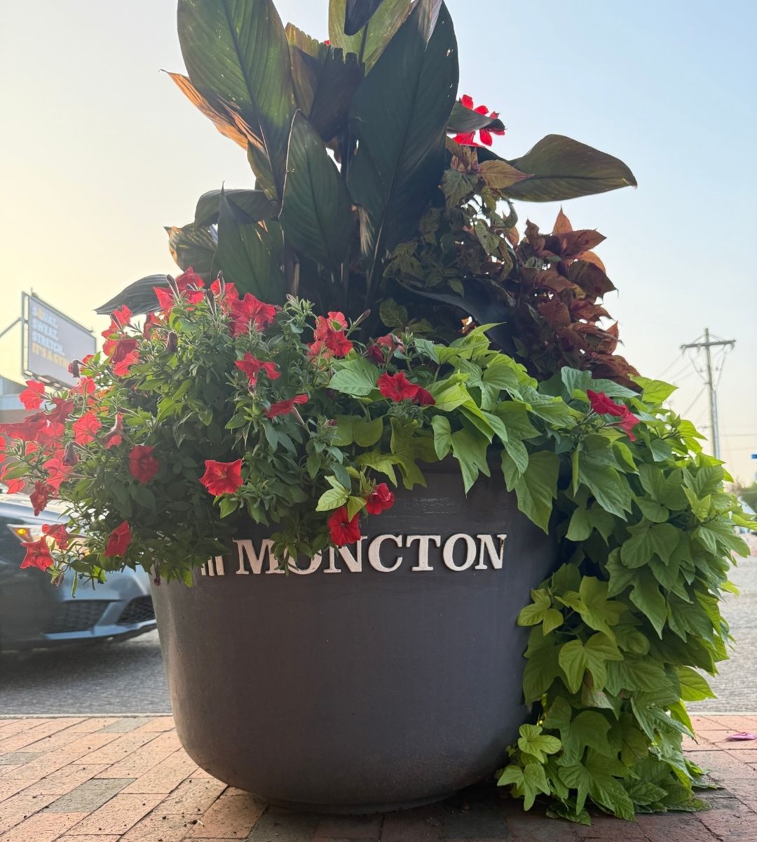 moncton-planter A bright flower planter labeled āMonctonā on a sunny street, showcasing community charm in one of TeamFundās new delivery areas.